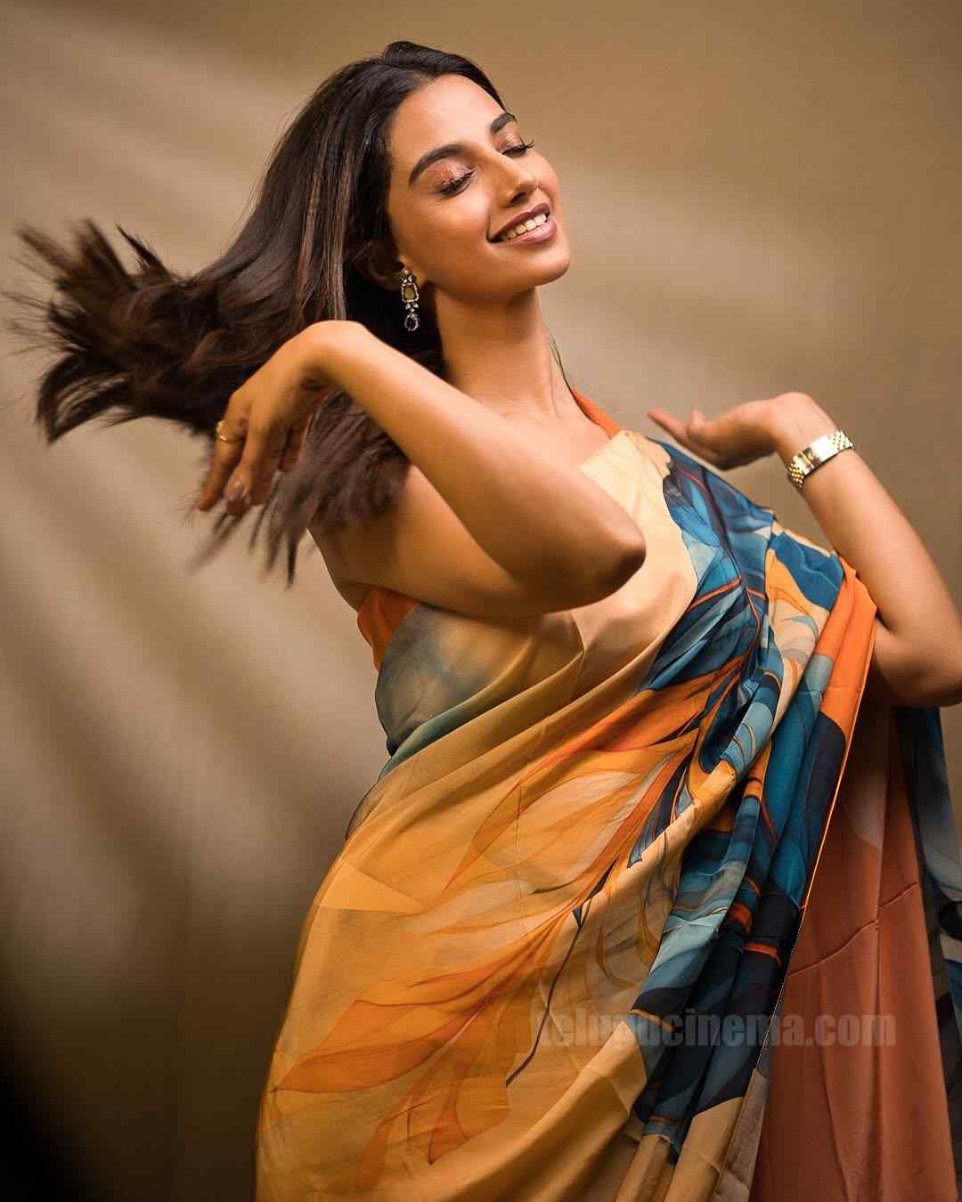 Meenakshi Chaudhary Saree Photos